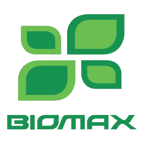 Logo 13